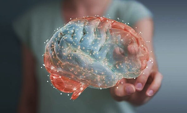 eeuu prohibiria tiktok