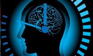 Gestión del Tiempo 3.0: Ritmos Neuronales y Bio-Sincronización para Trabajar Menos y Lograr Más